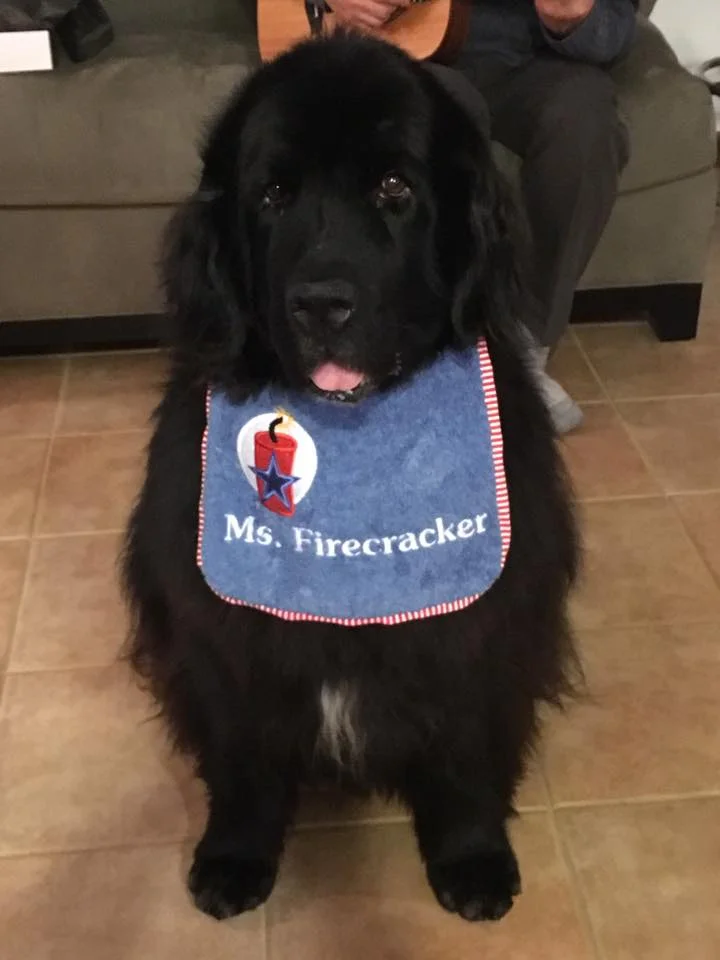 Sky in her Ms. Firecracker bib.jpg