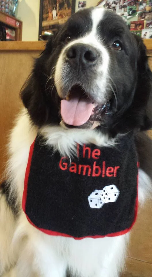 Winnie The Gambler birthday boy.jpg