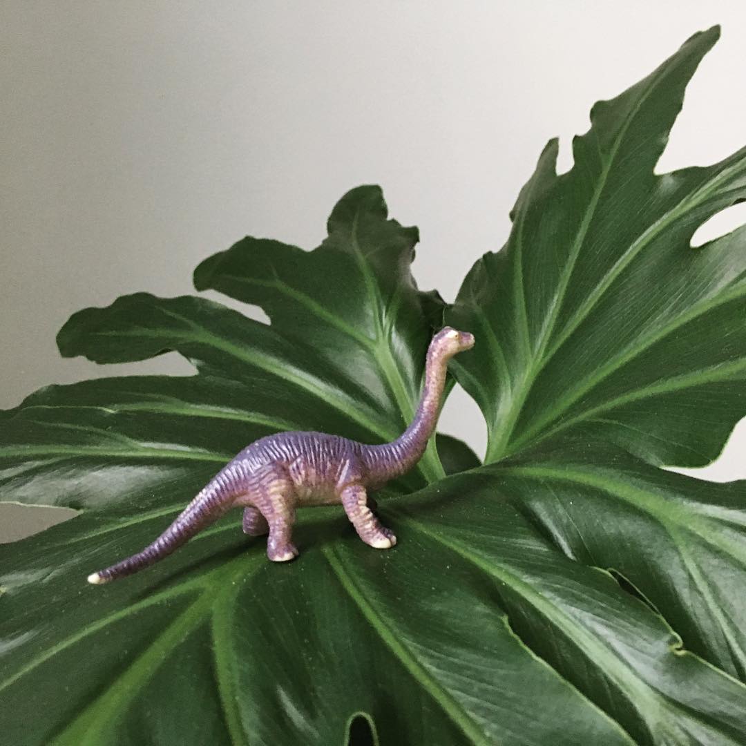 Agnes Studio Cleveland Museum of Natural History dinosaur