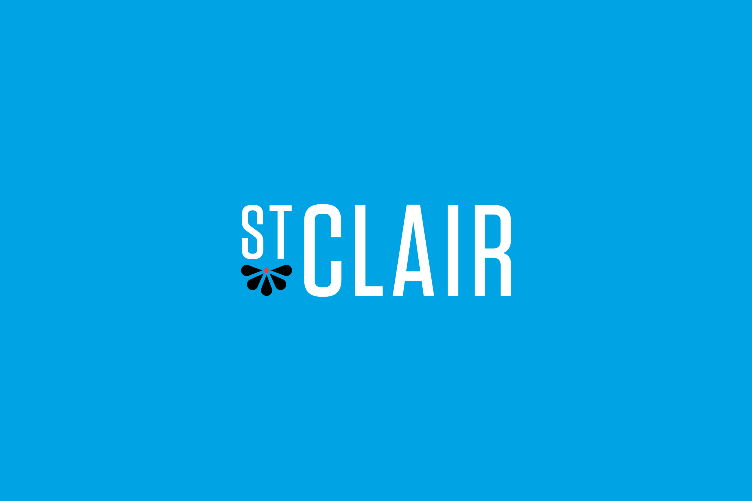 Agnes Studio St. Clair Superior Neighborhood branding