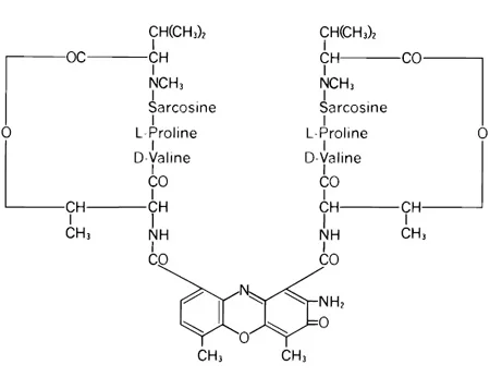 Dactinomycin (Cosmegen) Chemical Structure