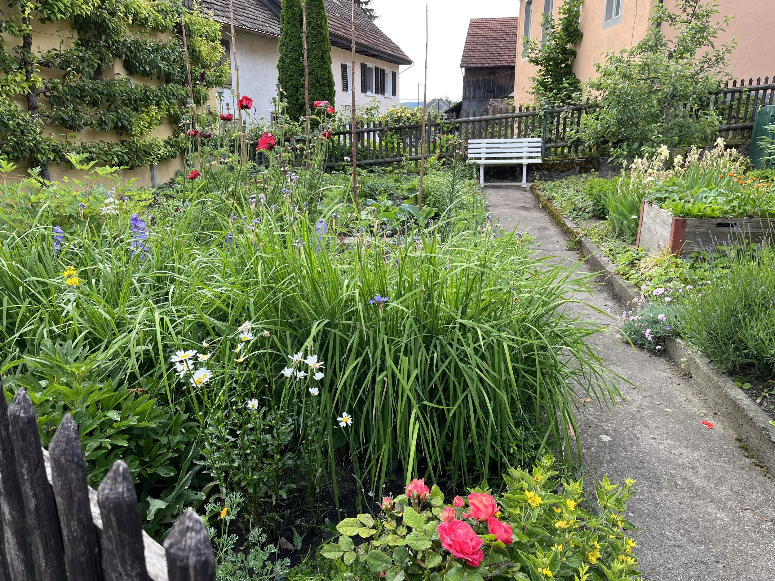 Homepage Tarife und Preise.JPG