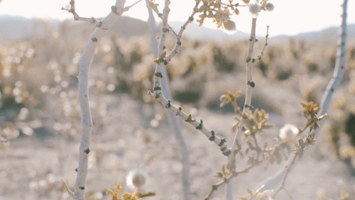download (1).gif