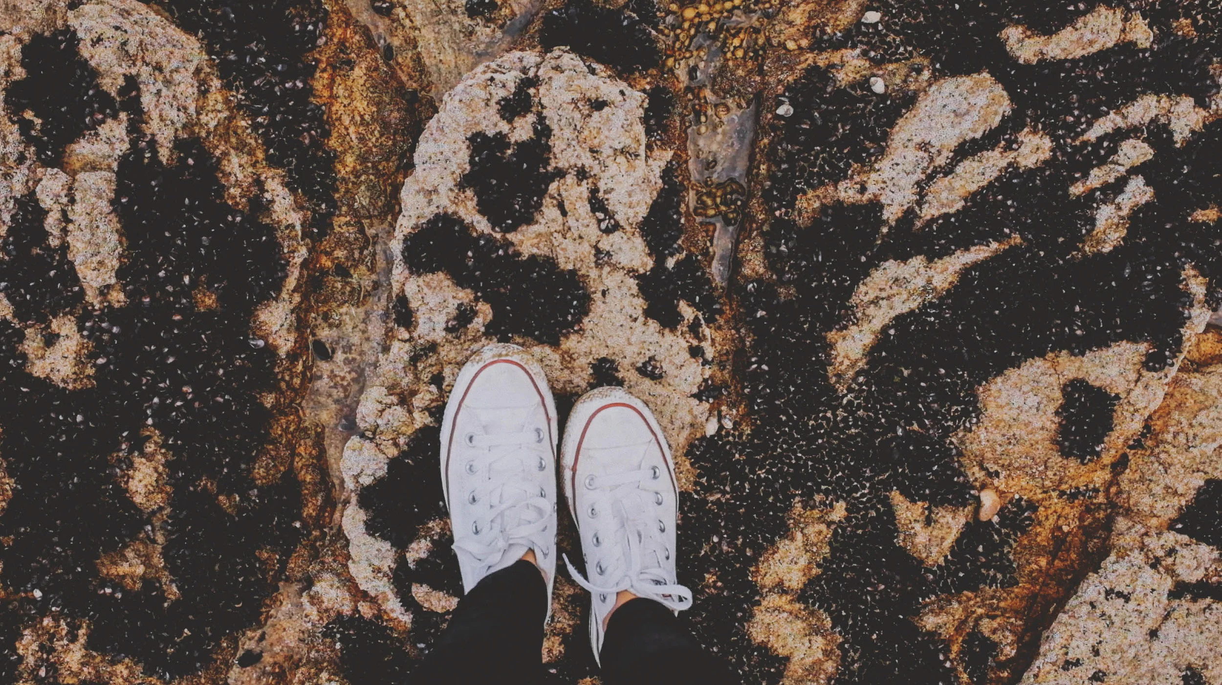2016-04-28_055913000_1D1A4_iOS.jpg