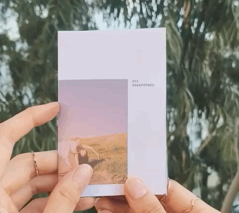 minizine 2_lowquality.gif