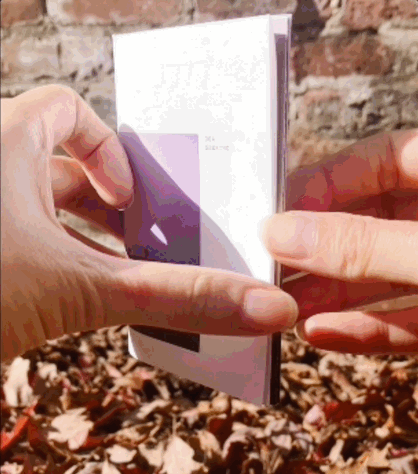 flipthrough_1.gif