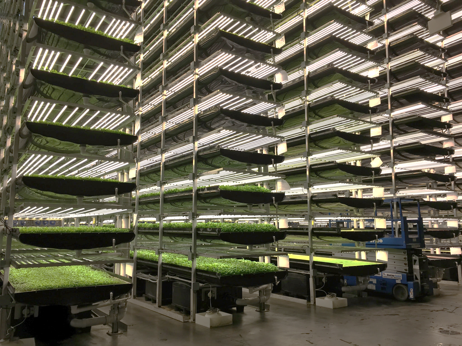 AeroFarms Vertical Farm 212 Rome Interior.png