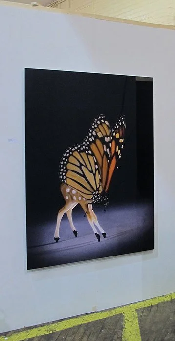 Deerfly At Night (Installed)