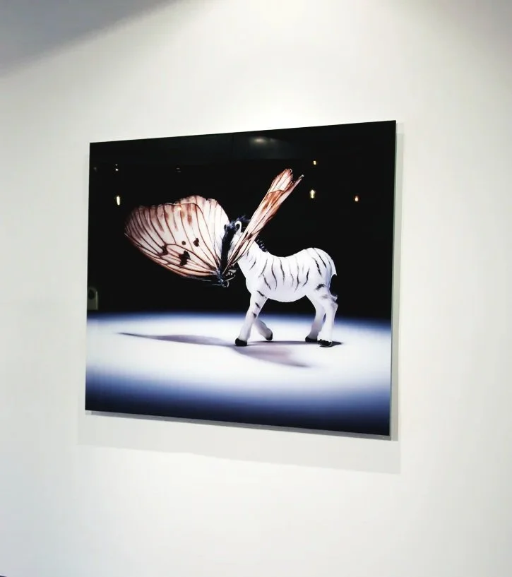 Spotlight (Installed)