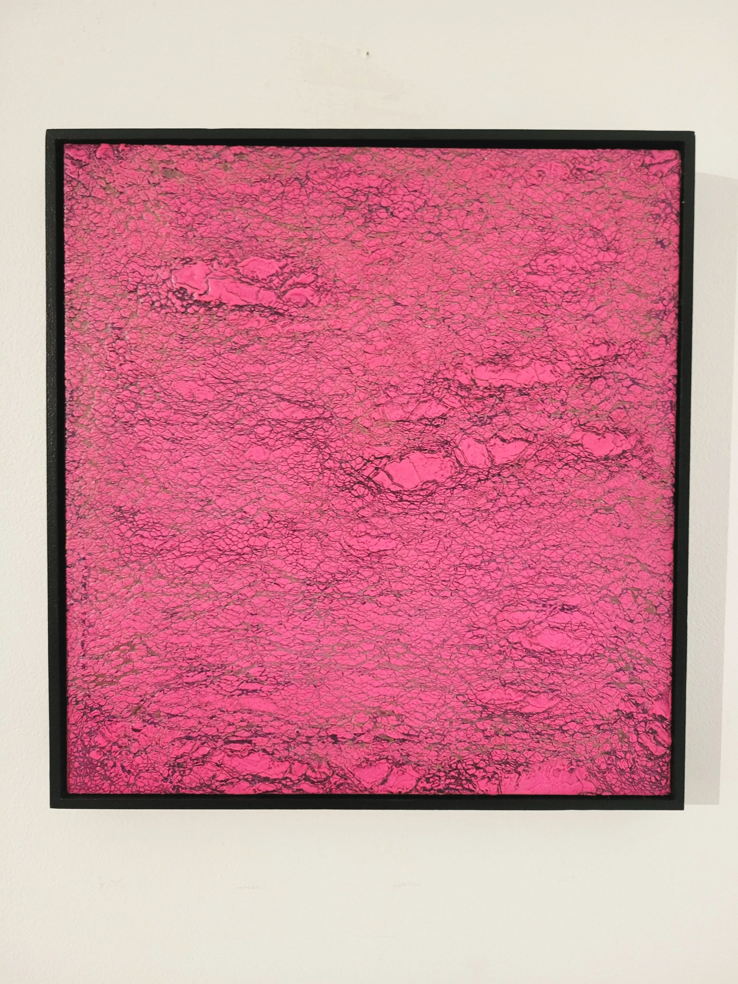 Little Pink Ruptures