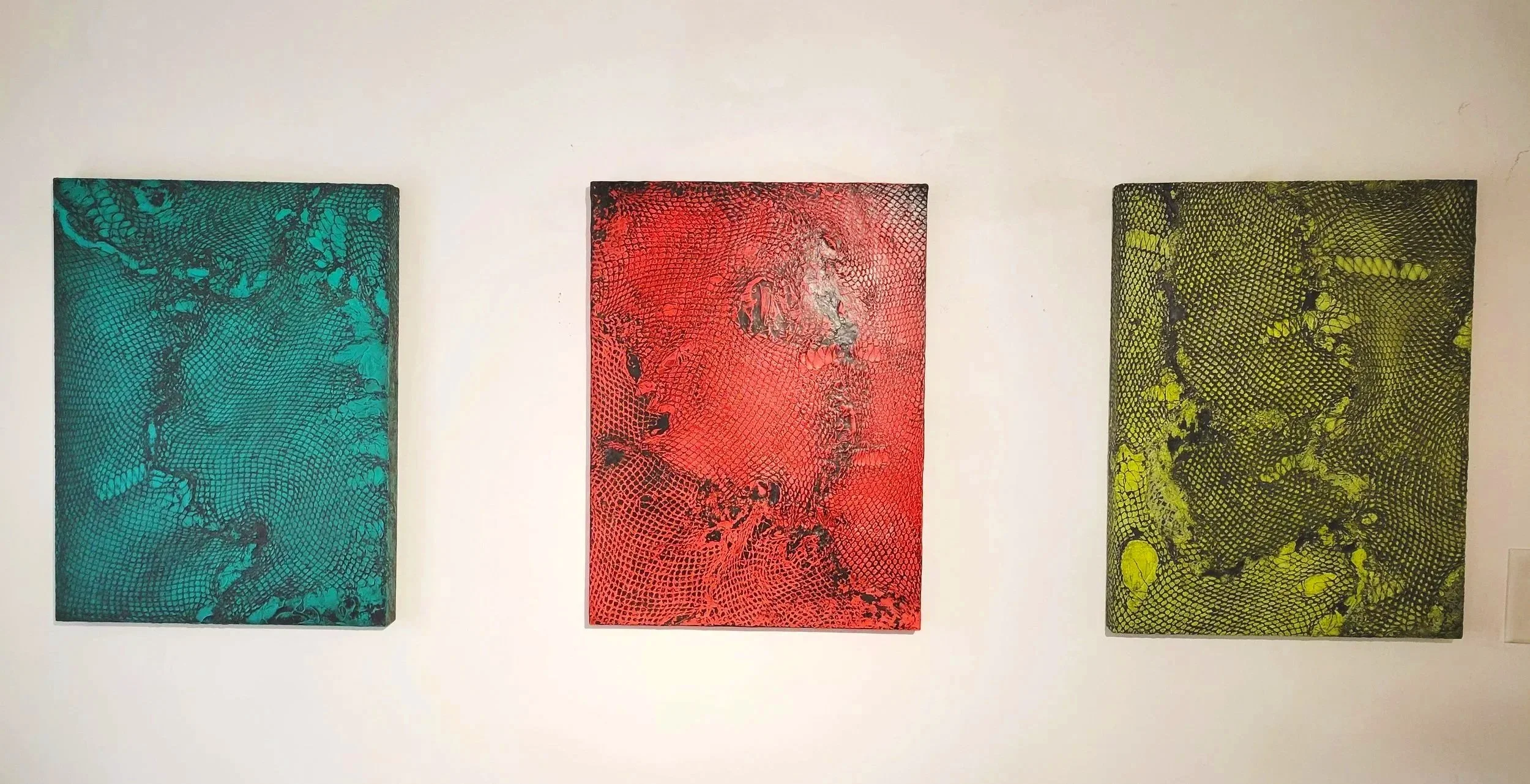 Skins (Blue, Red, Yellow Triptych)