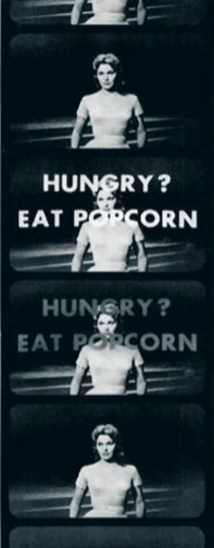 A reproduction of the apparent subliminal message flashed on-screen during runs of Picnic.
