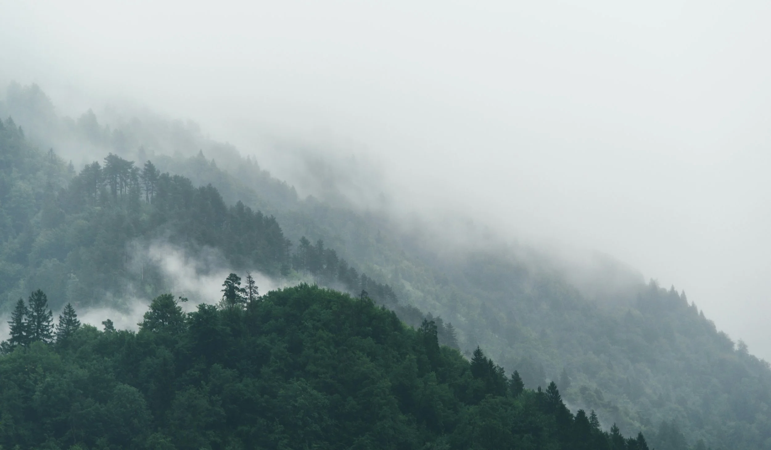 daa-misty-mountain.jpg