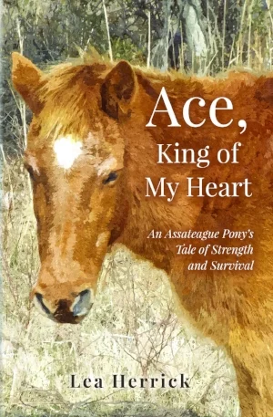 Ace, King of My Heart.jpg