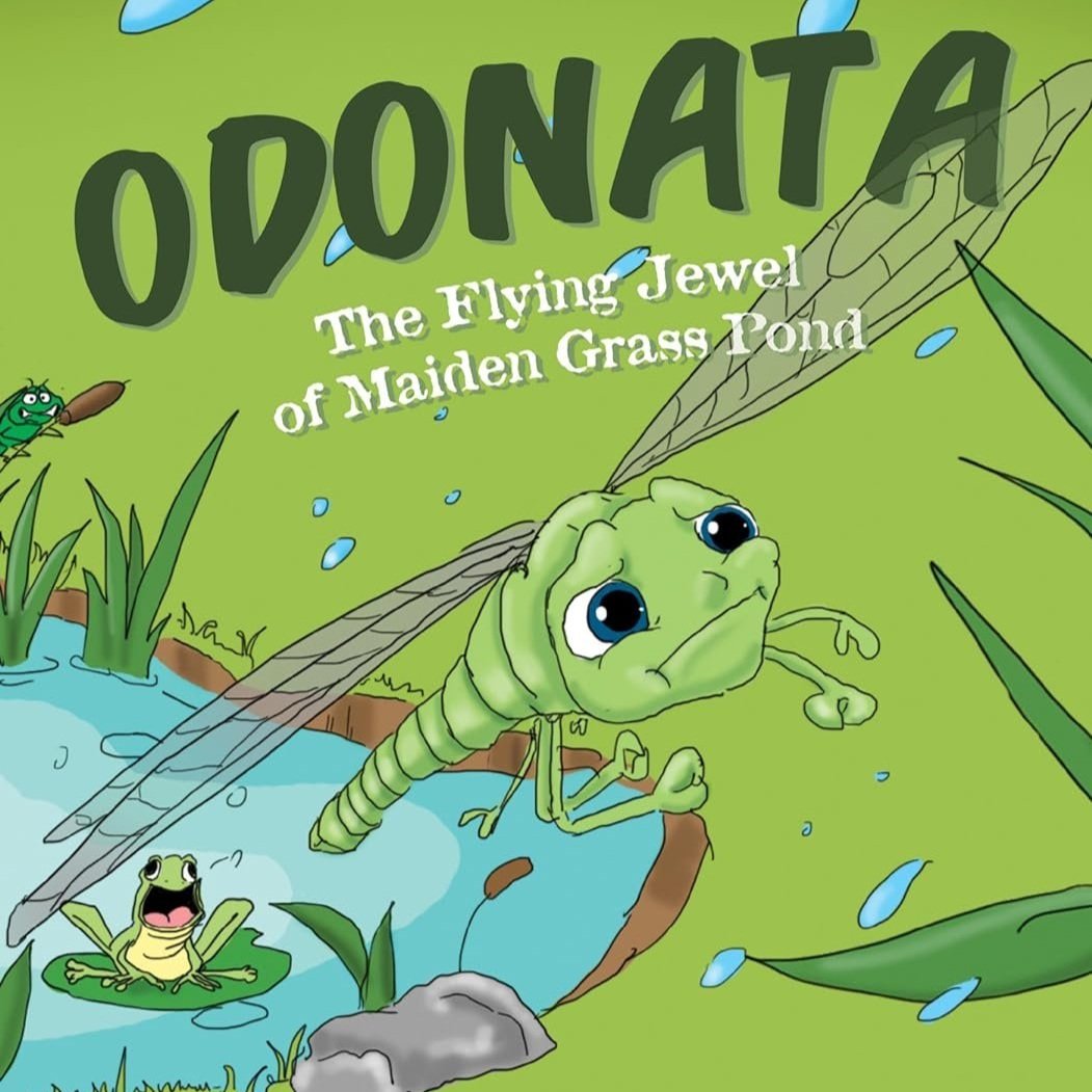 odonata.jpg