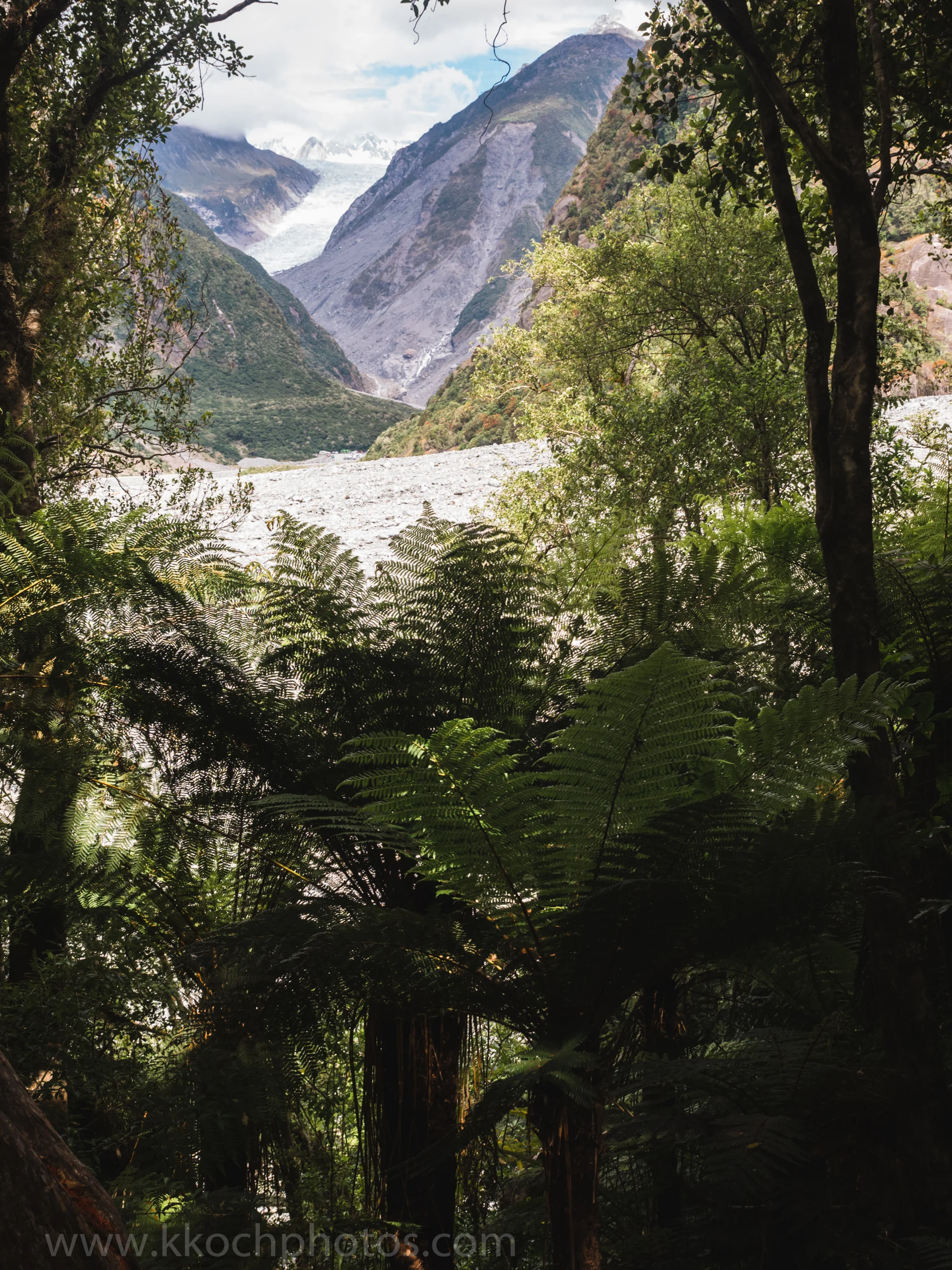 Fox Glacier - rainforest to glaciers