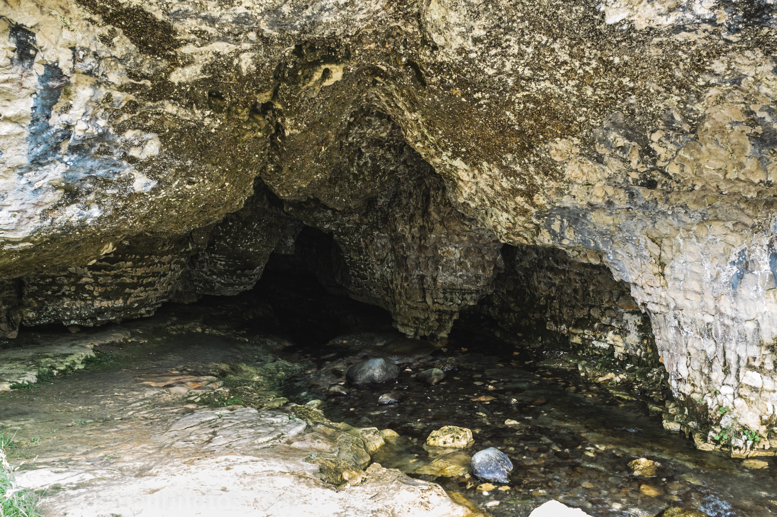 P1093255.jpg