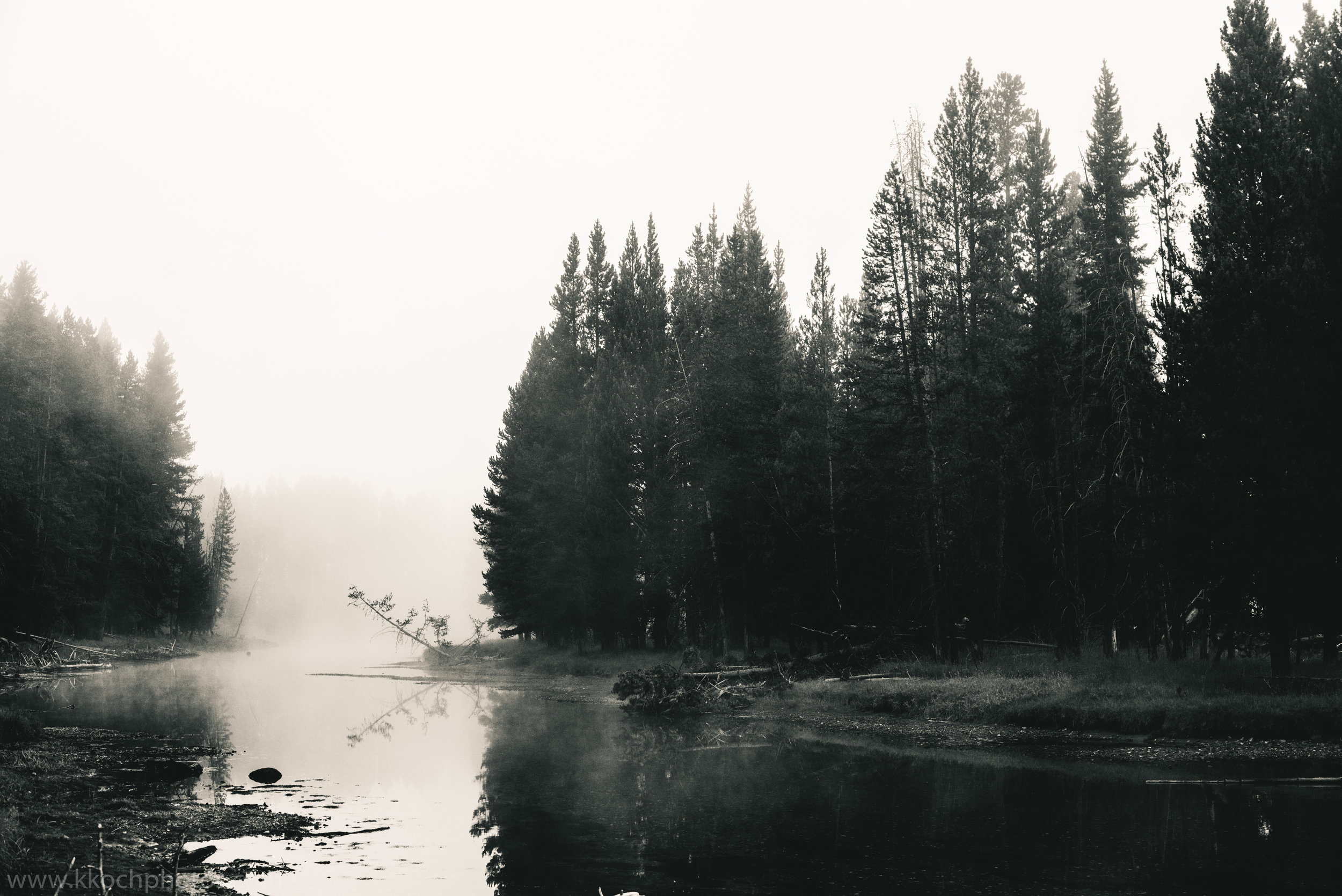 750_4291.jpg
