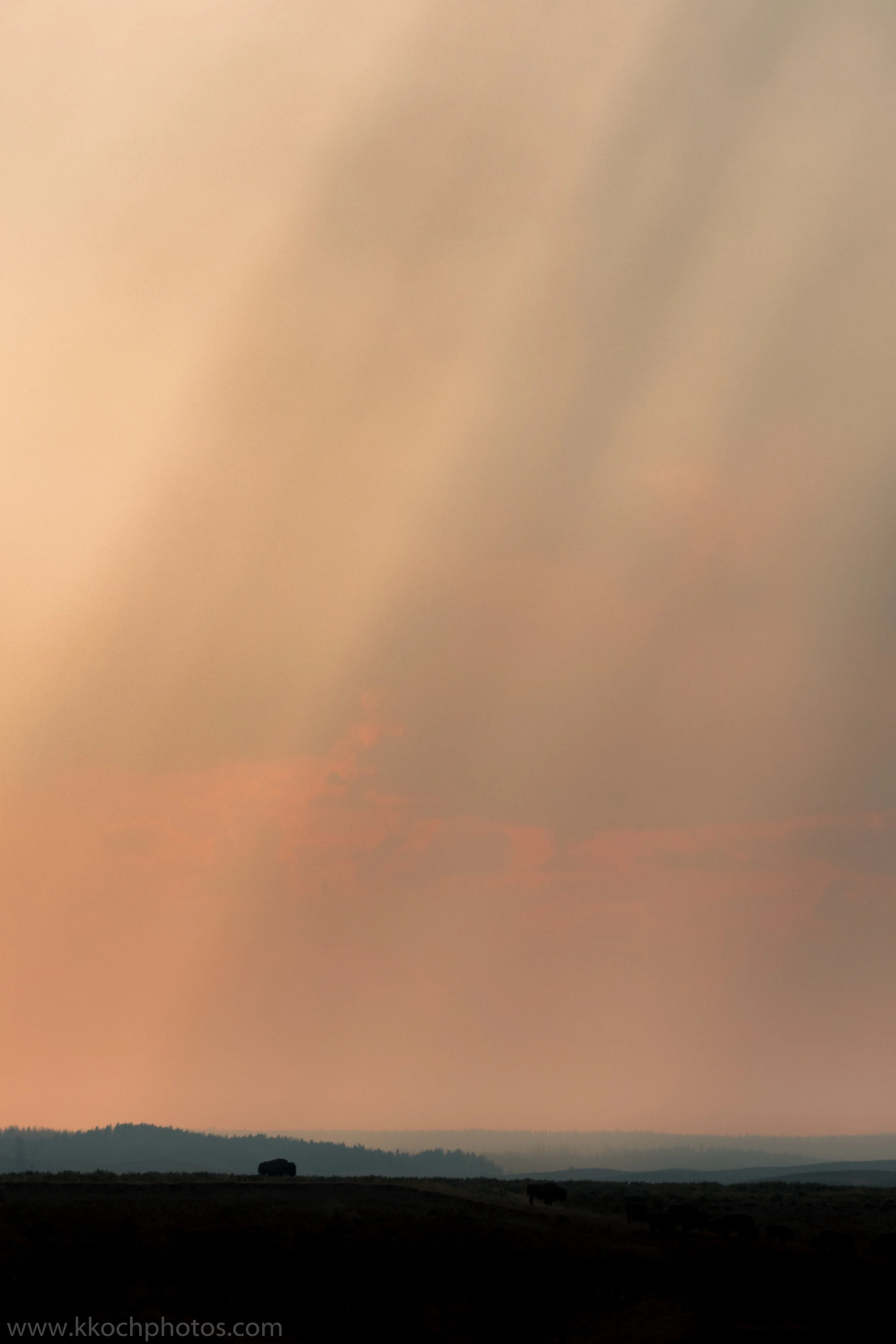 750_4587.jpg