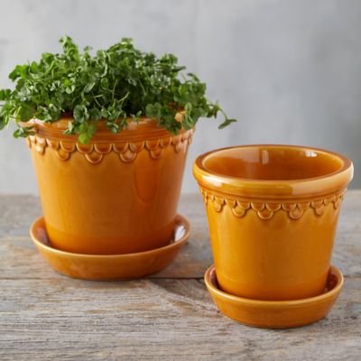 13. Pots for plants I don't know when I turned into a plant person, sort of like how I have no idea when I turned into a cat person. But now I'm a cat-plant person.
