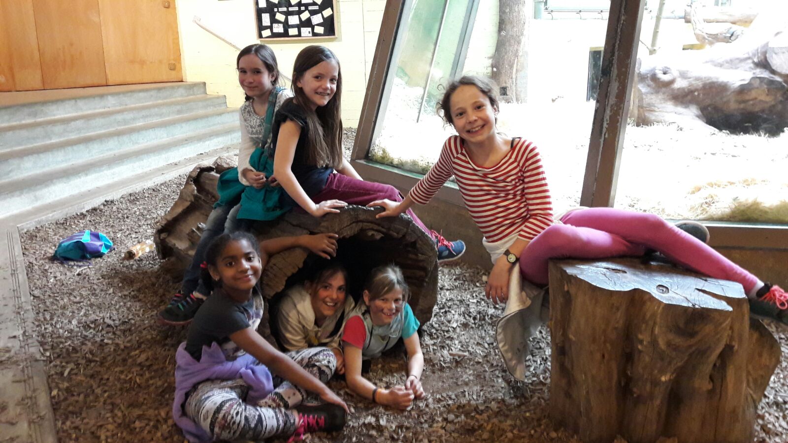 Farfalla im Zoo