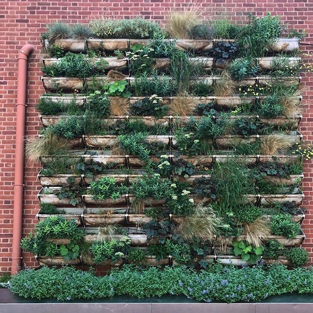 Urban inspiration #verticalgarden #urbanliving #greenbuilding #streetsofphiladelphia #architectsinthewild