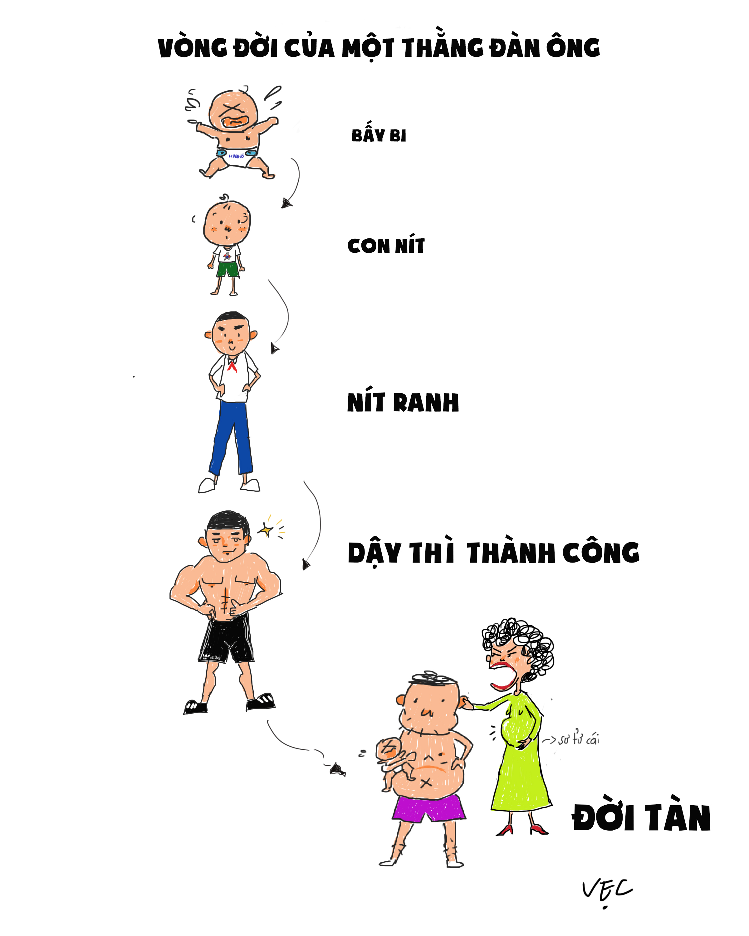 chu ky dan ong.jpg