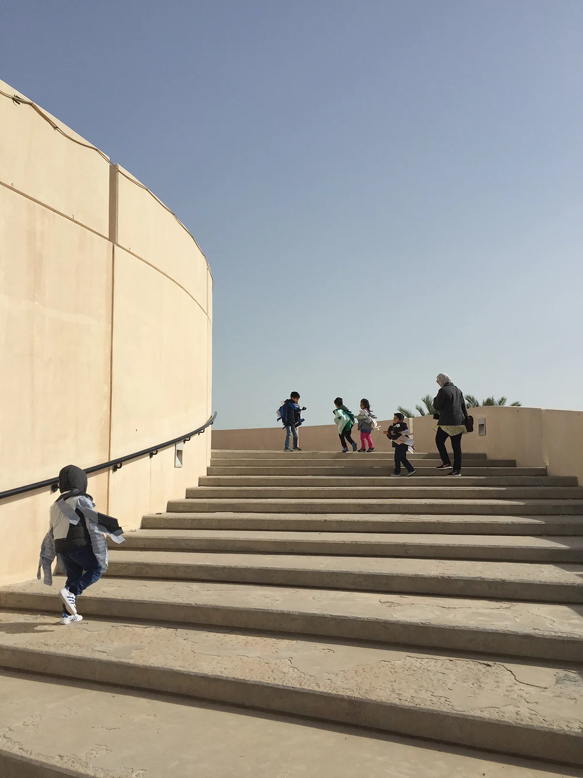 Flight of the Birds: Green Island