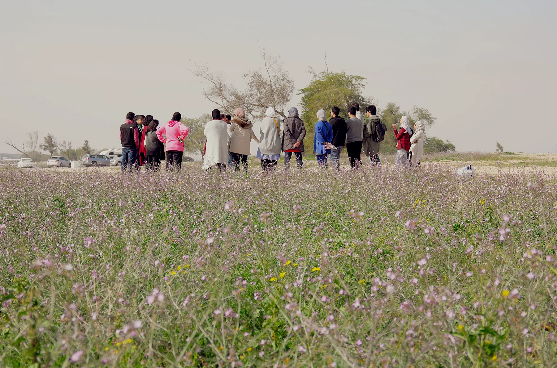 An Unexpected Landscape:Sulaibikhat Coast