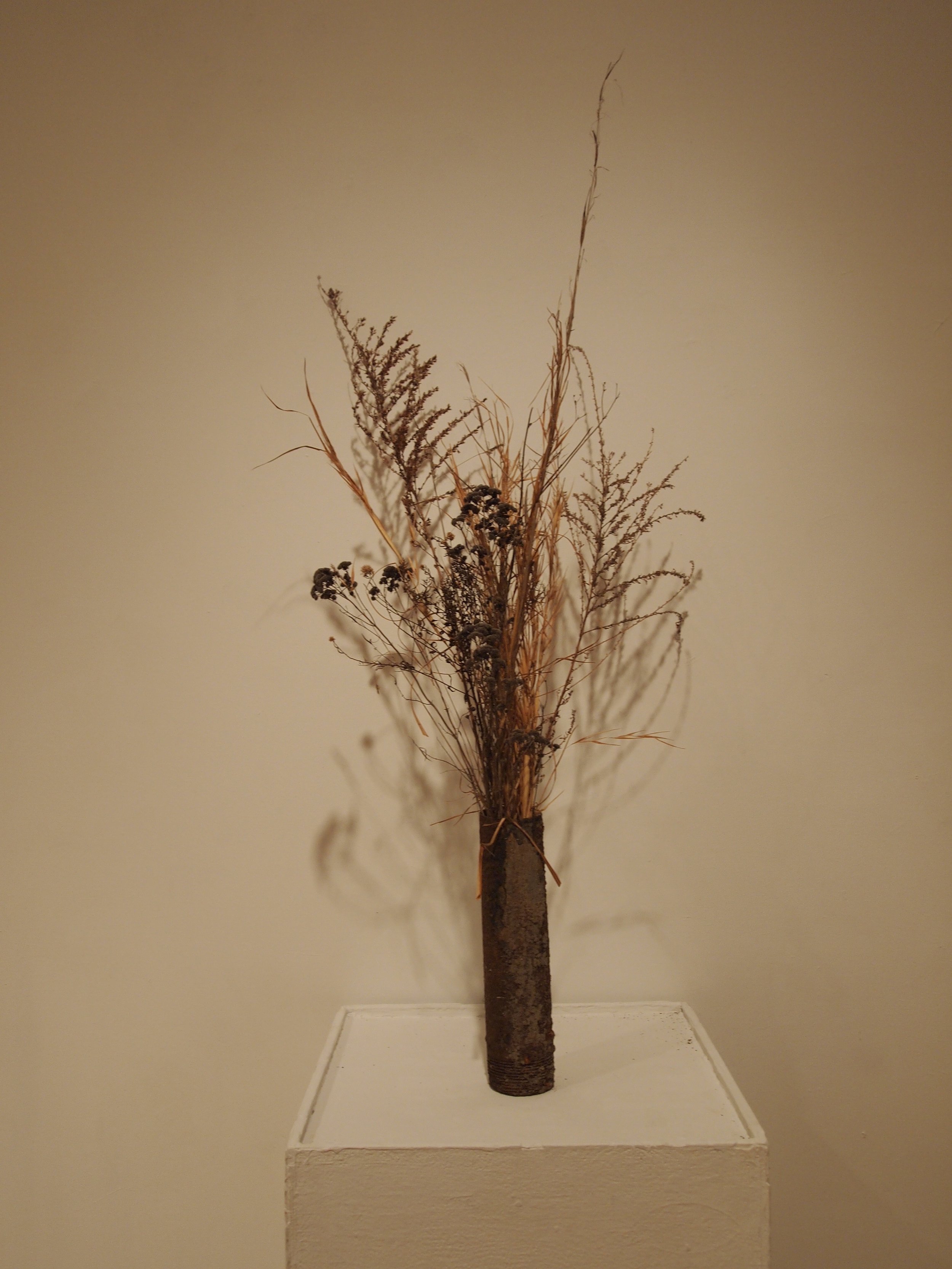  Prairie grasses, arranged by color, in found pipe 