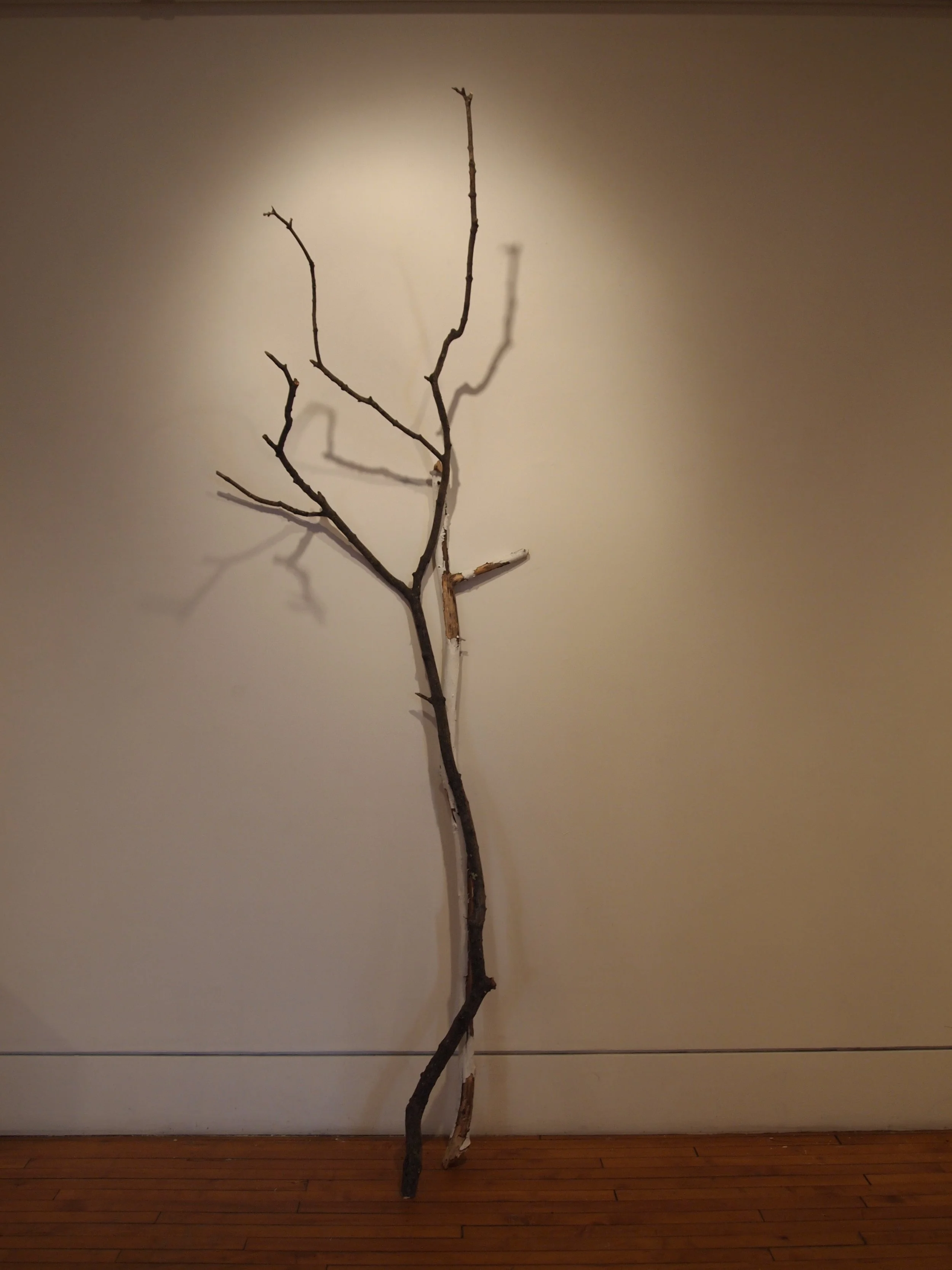  Found branches, one with bark painted white – drawn and erased line 