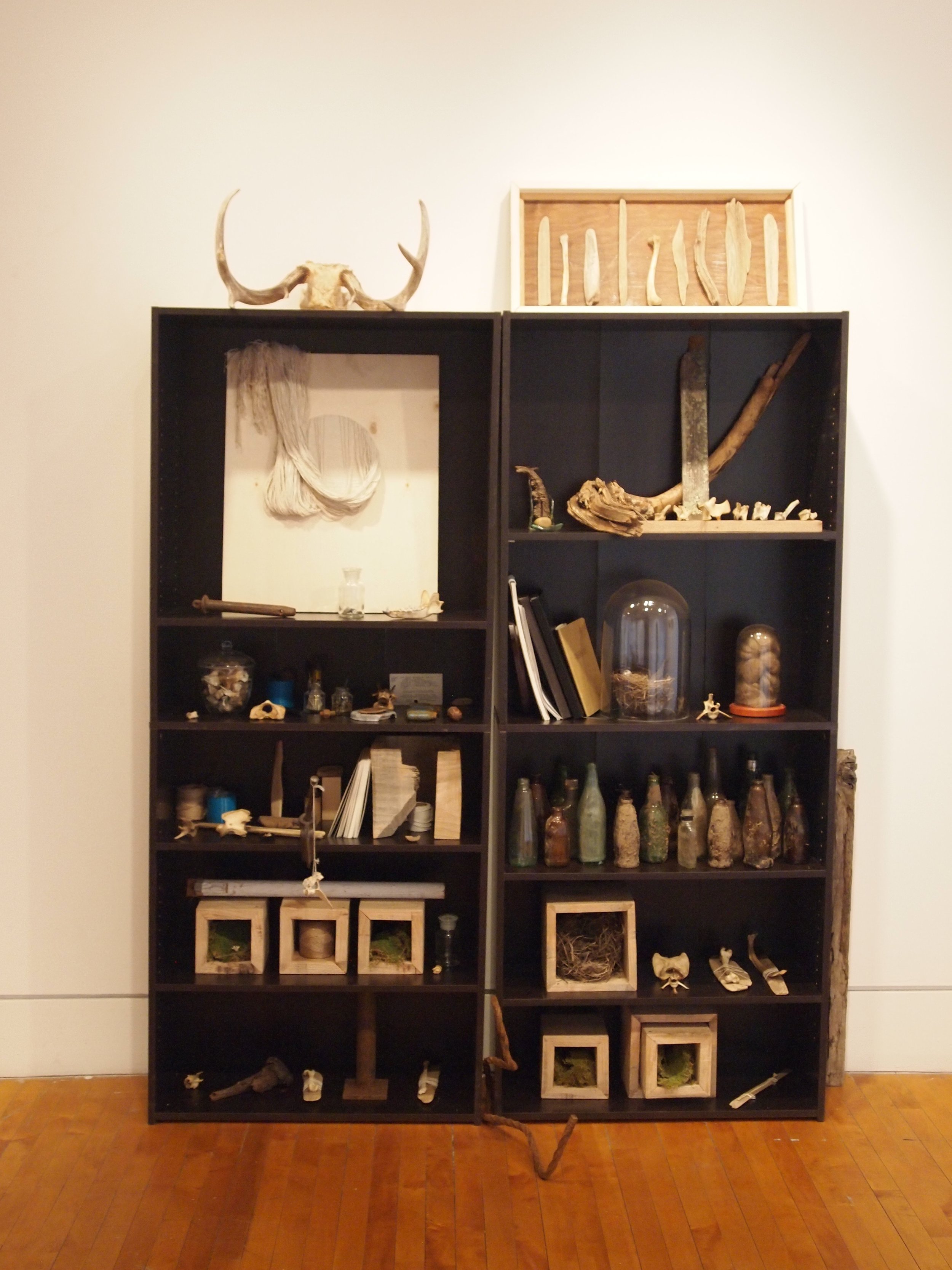  Reproduction of studio shelves – bone assemblages, found items, hair collected over 2 years, found antlers, found bottle collection 