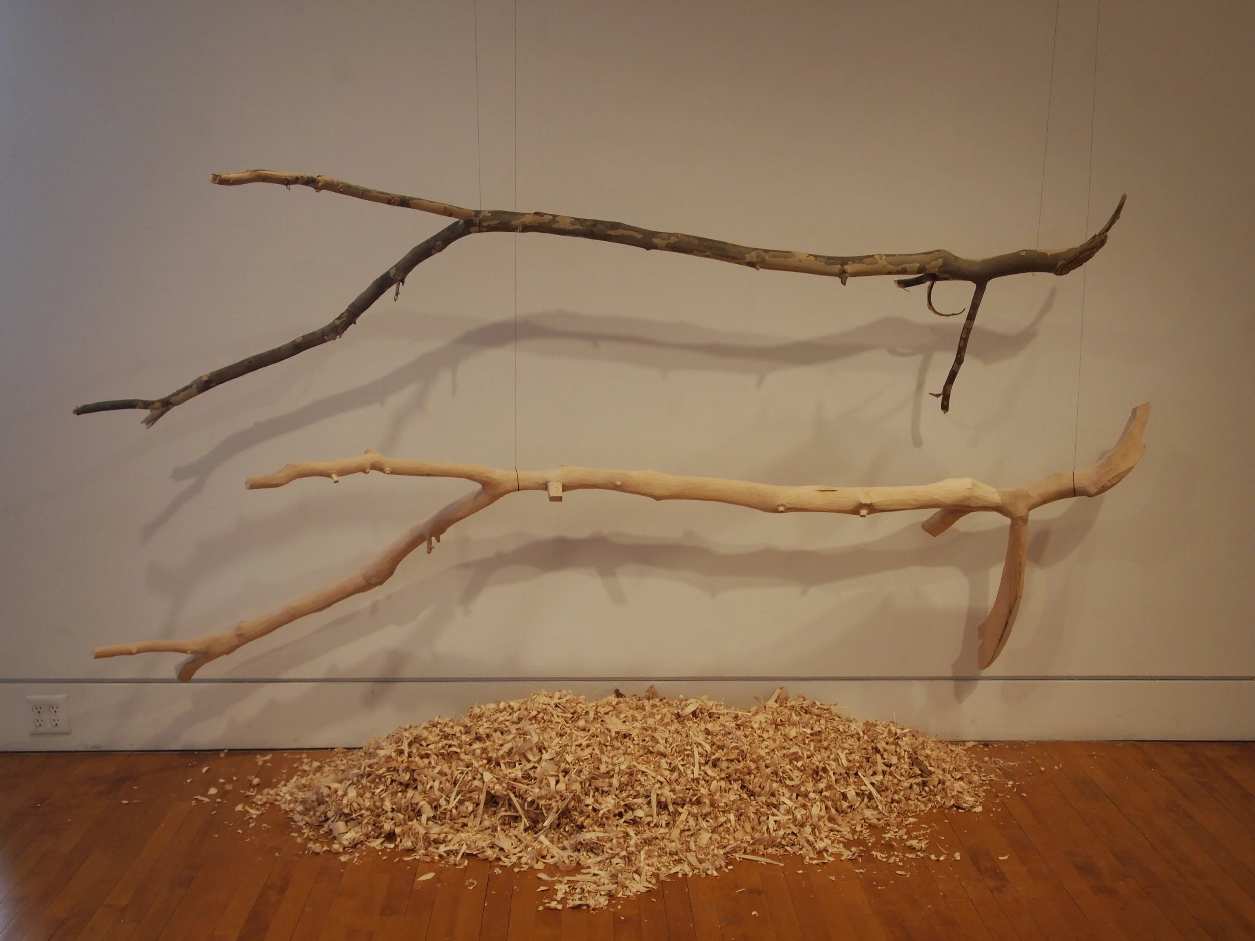  Found sycamore branch and carved replica with shavings from carving process 