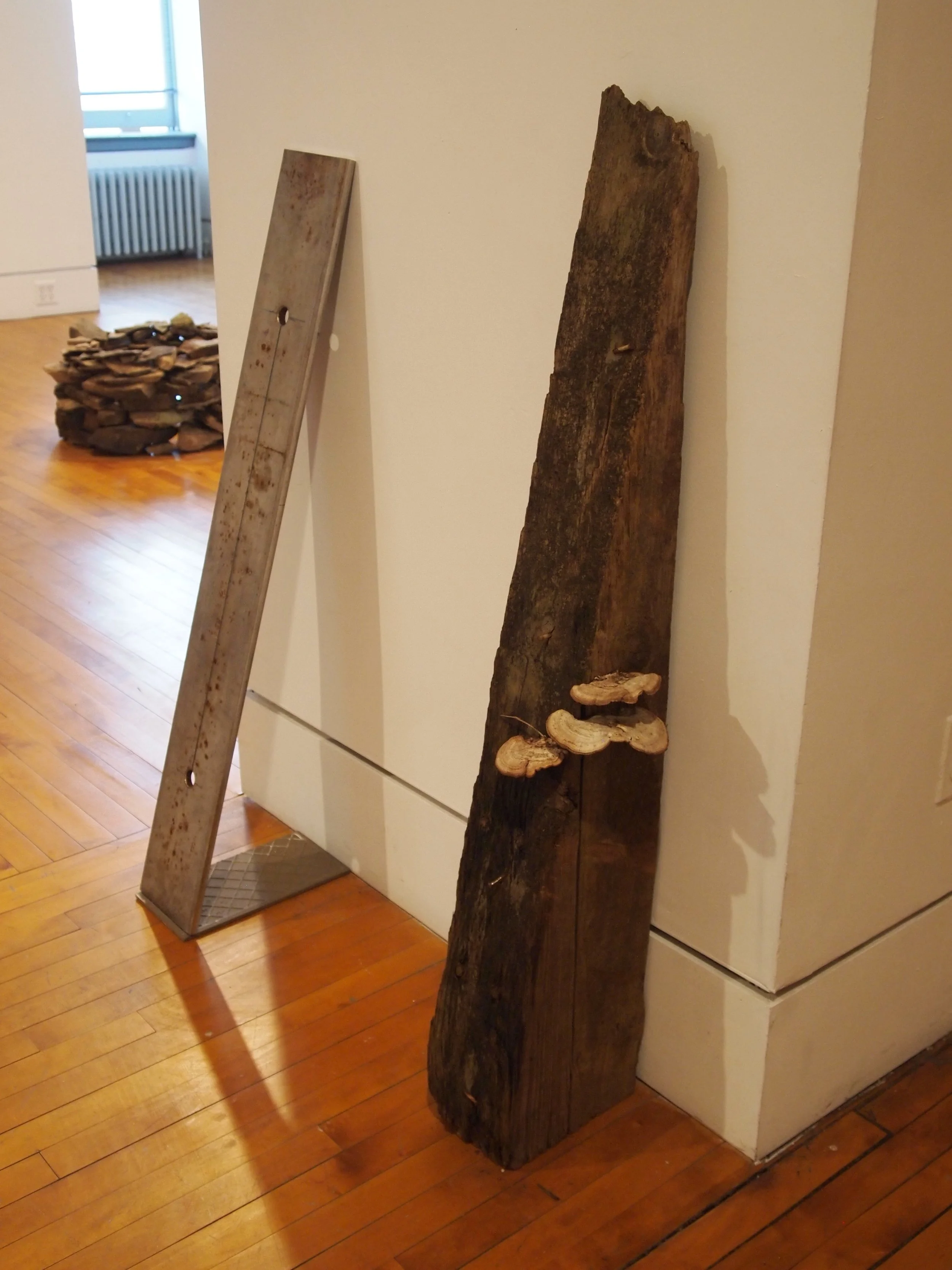  On left – found metal beam, thread added between holes  On right – found wood beam (in river), shelf fungus attached 