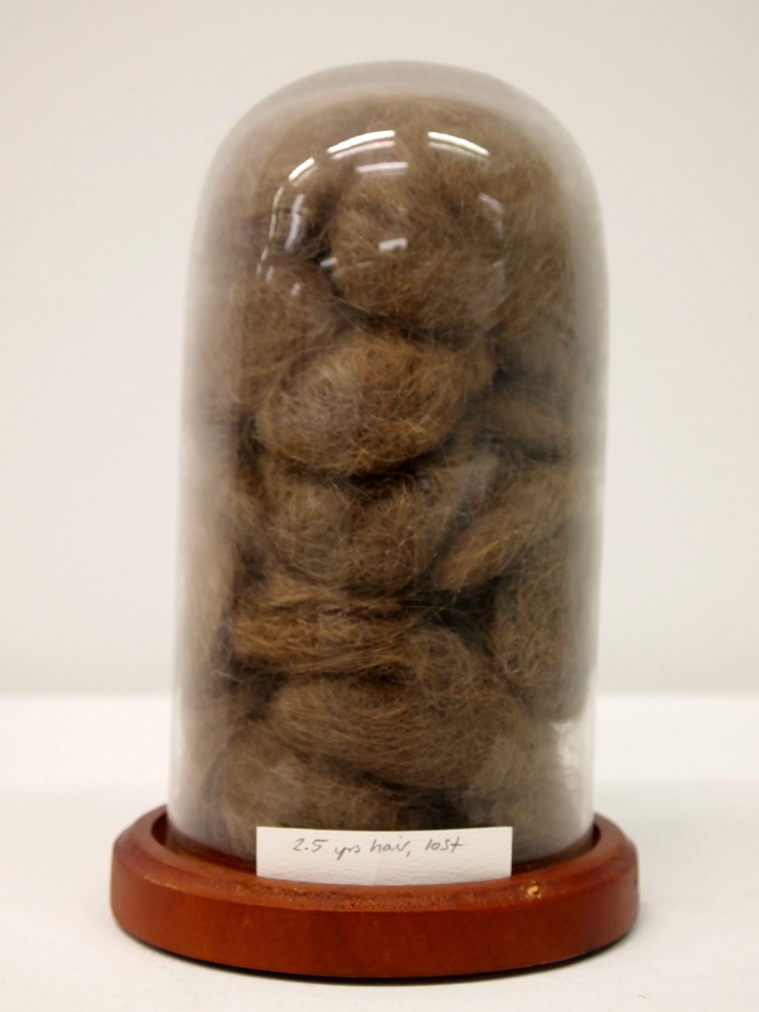 2.5 years hair, lost