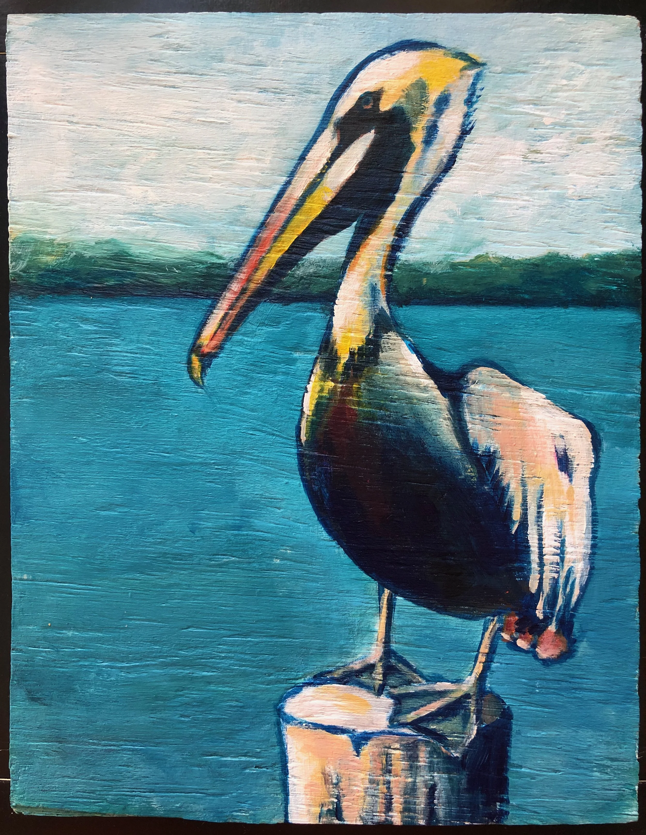 Pelican