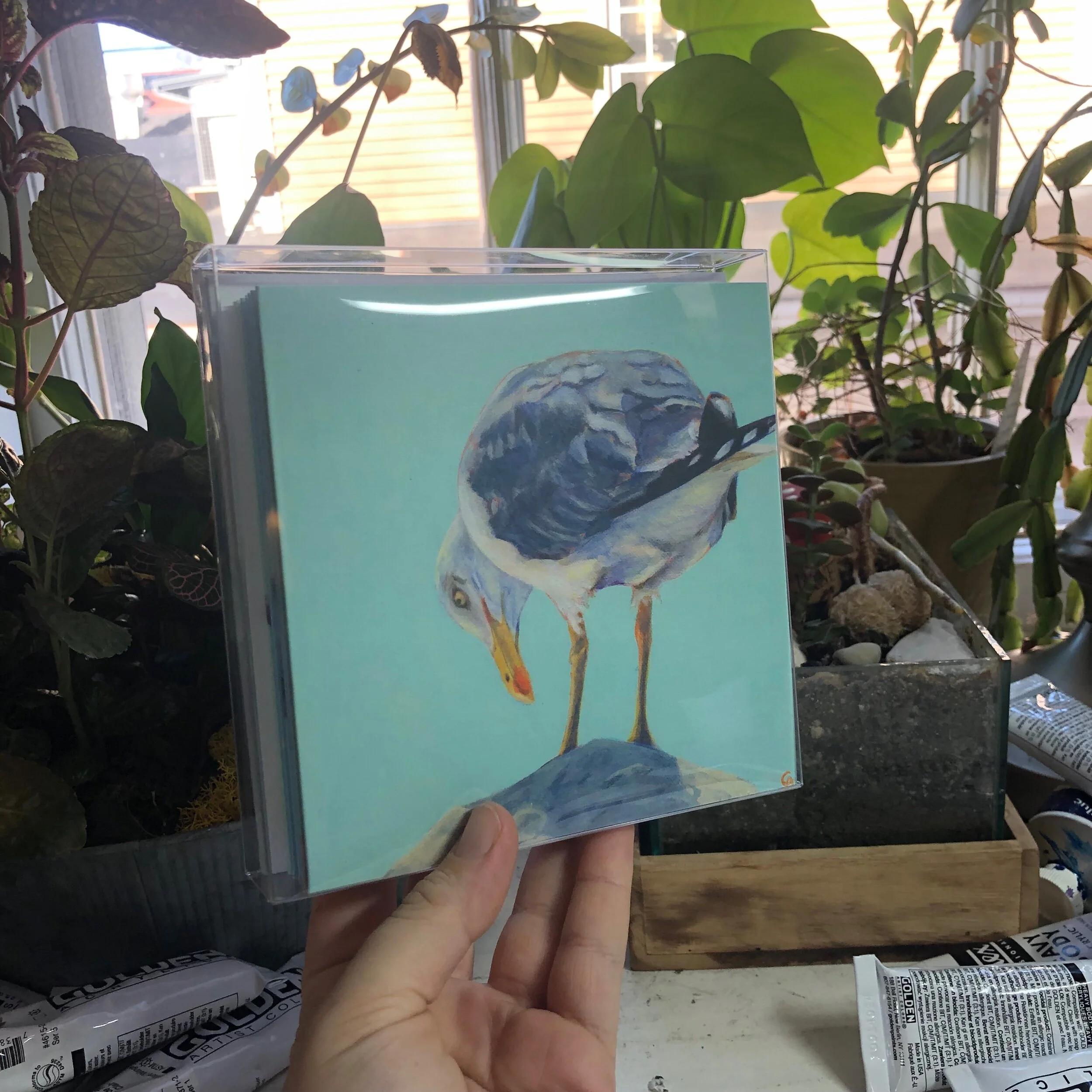 489E7777-6259-49FB-98F1-C2F22322FD1F