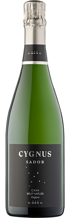 ampolla-cygnus_sador_bn_midres.png