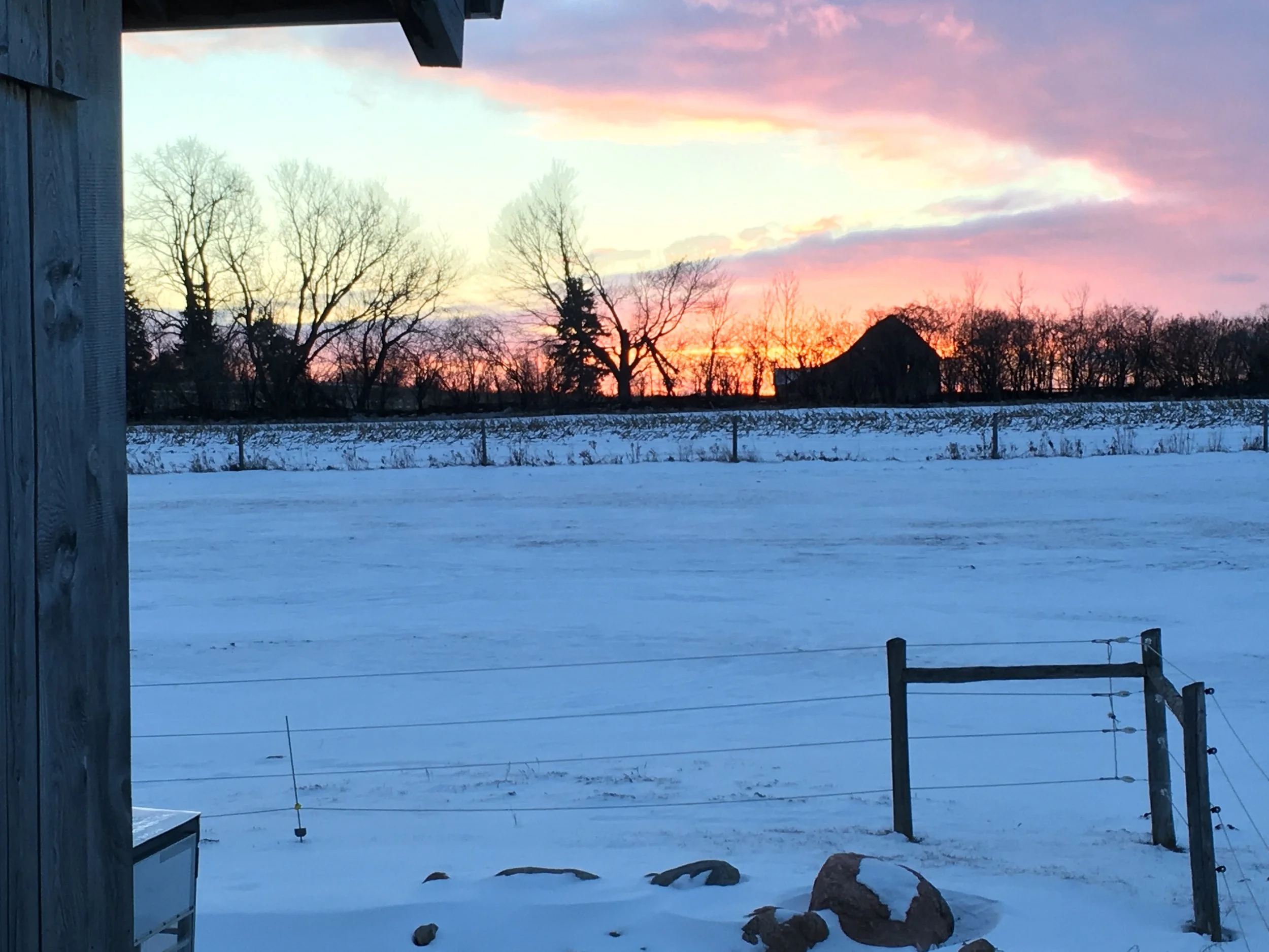 Barn View Sunsets CHR.JPG