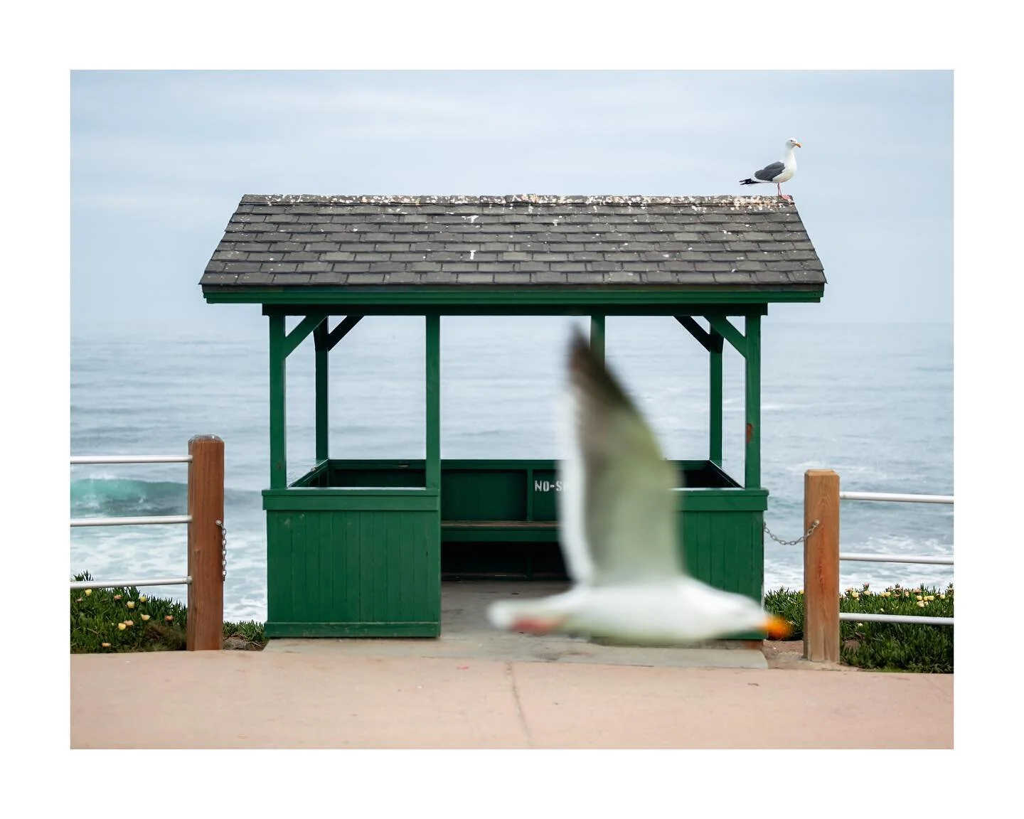 San Diego, California
-
-
#somewheremagazine #roamtheplanet #ocean #waterscape #exploreobserveshare #stillatraveler #voyage #voyageursdumonde #knowthismind #nature #paysage #exploremore #theglobewanderer #wowplanet #ourplanetdaily #oneearthmagazine #