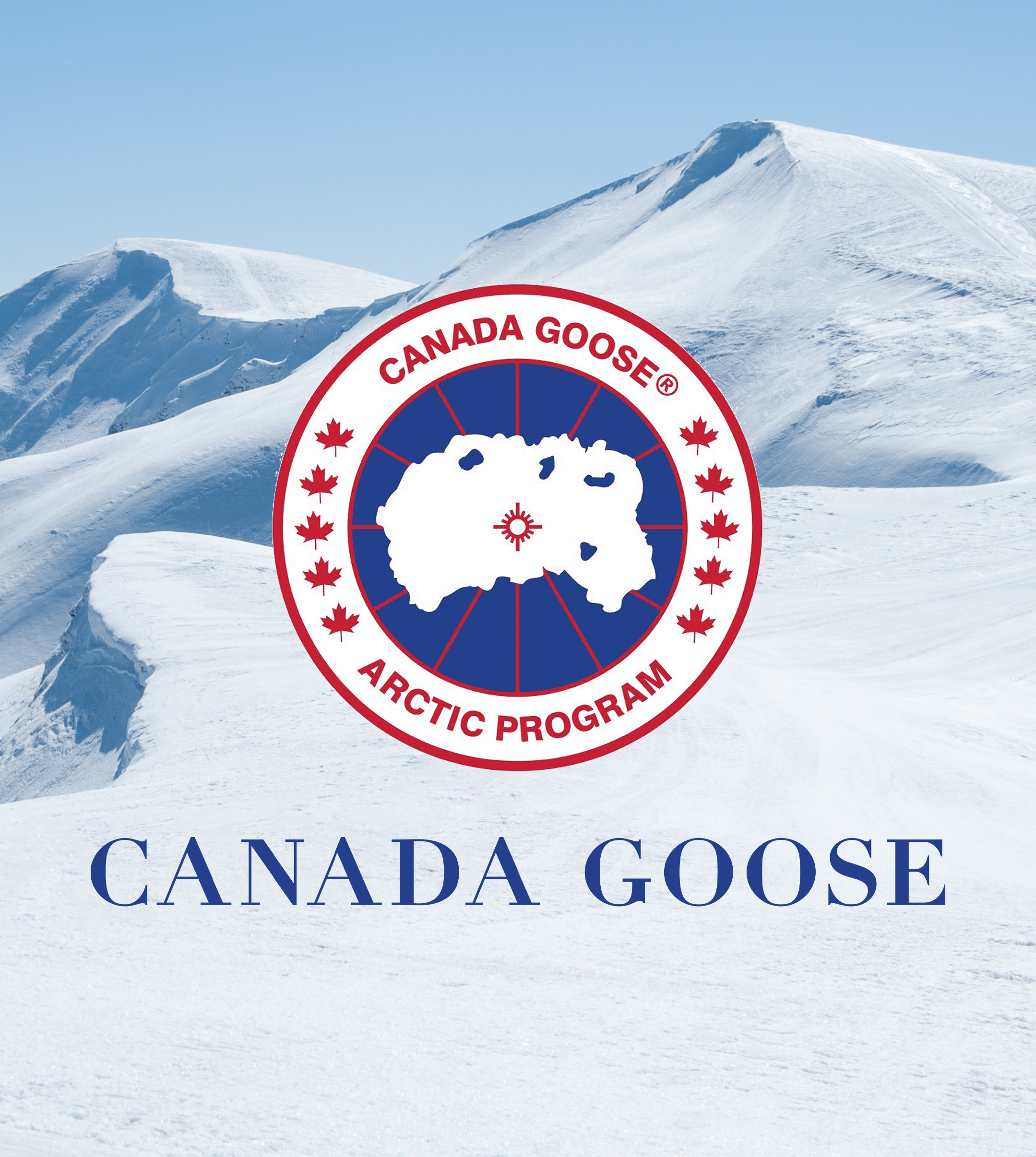 canada goose.png