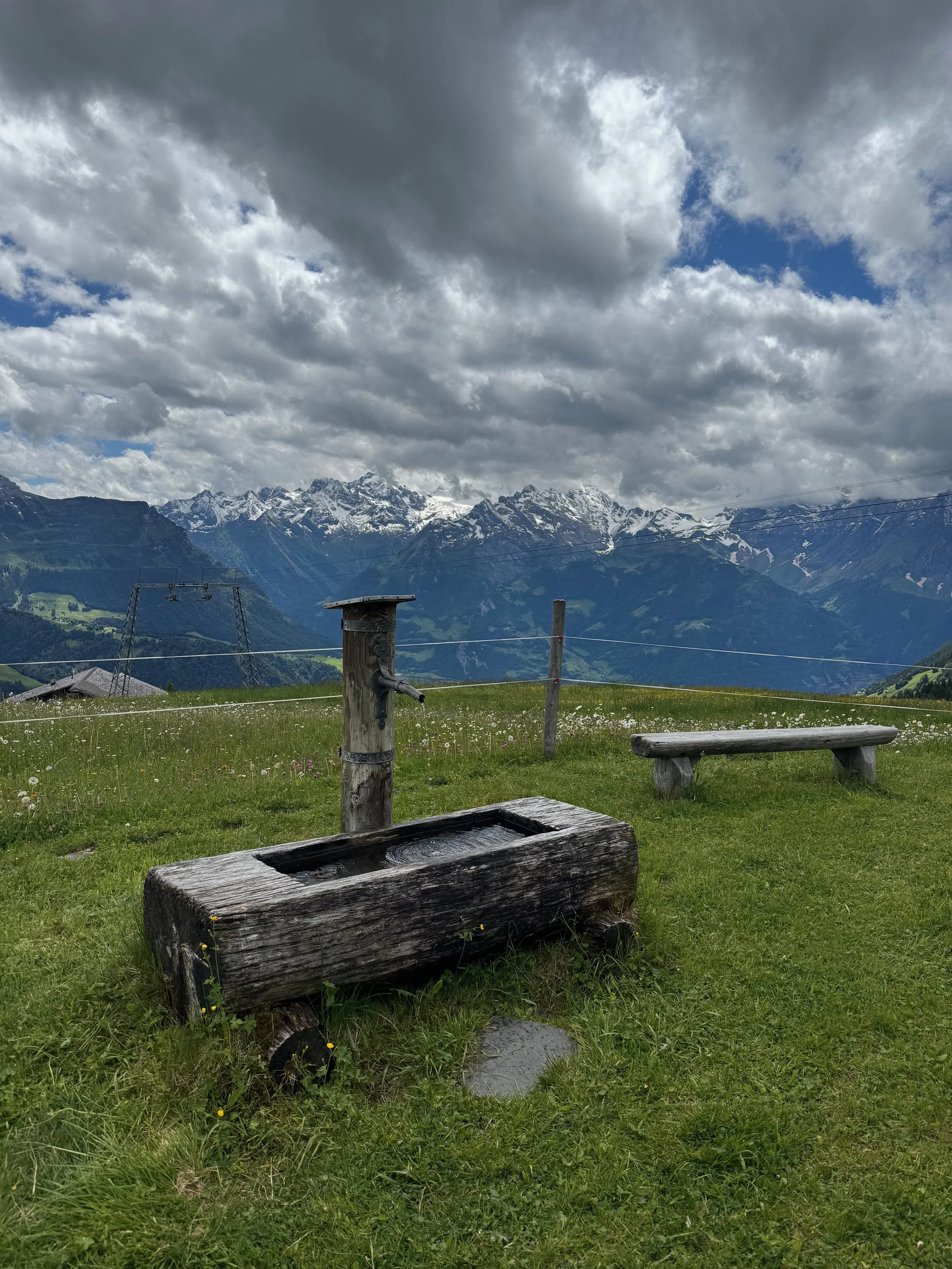 IMG_2836.jpeg