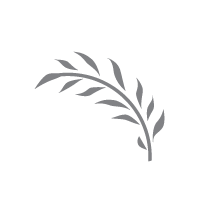WindsweptDesignStudio_Alternate-Logo-Marks_Vine.png
