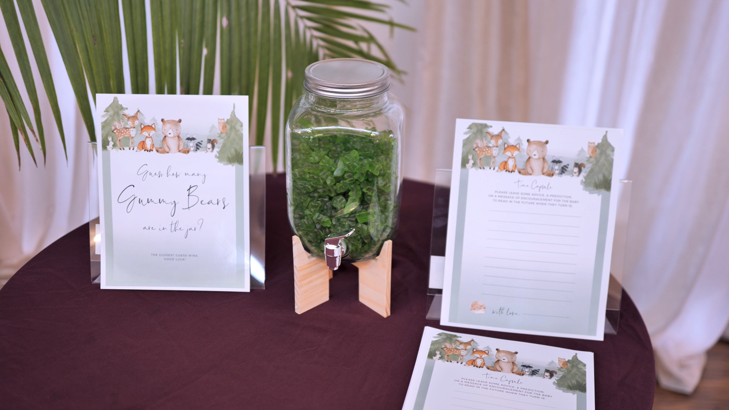 DC Baby Shower Videography - Northern Virginia Event Videographer-7.png