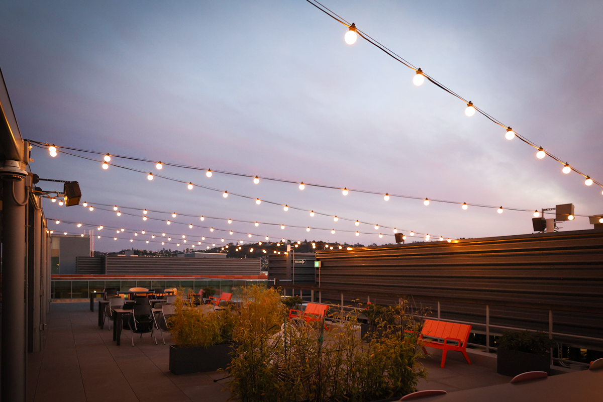 Roof-at-dusk.png