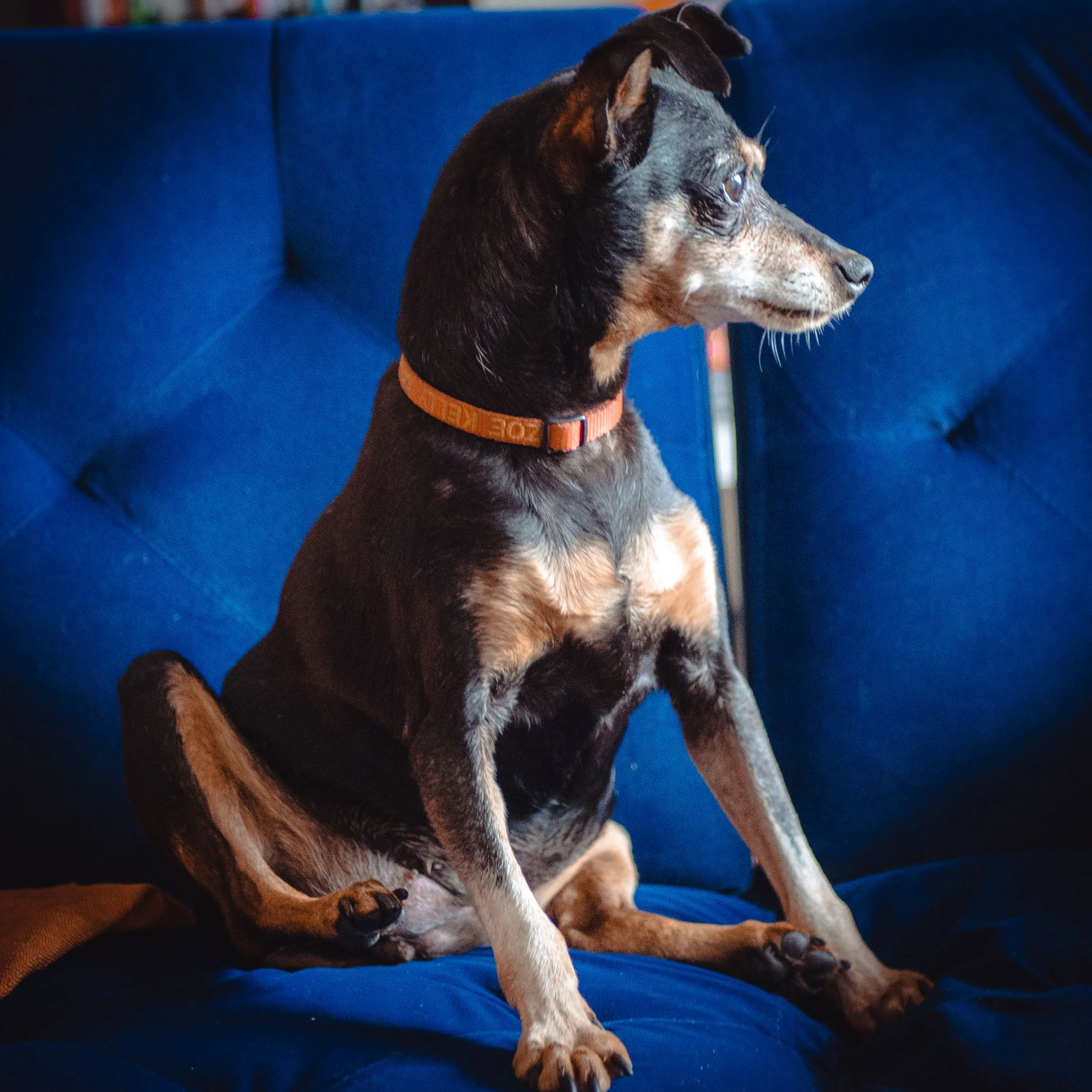 Zoe Profile 1.jpg