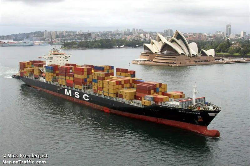 MSC_ANGELA.jpg