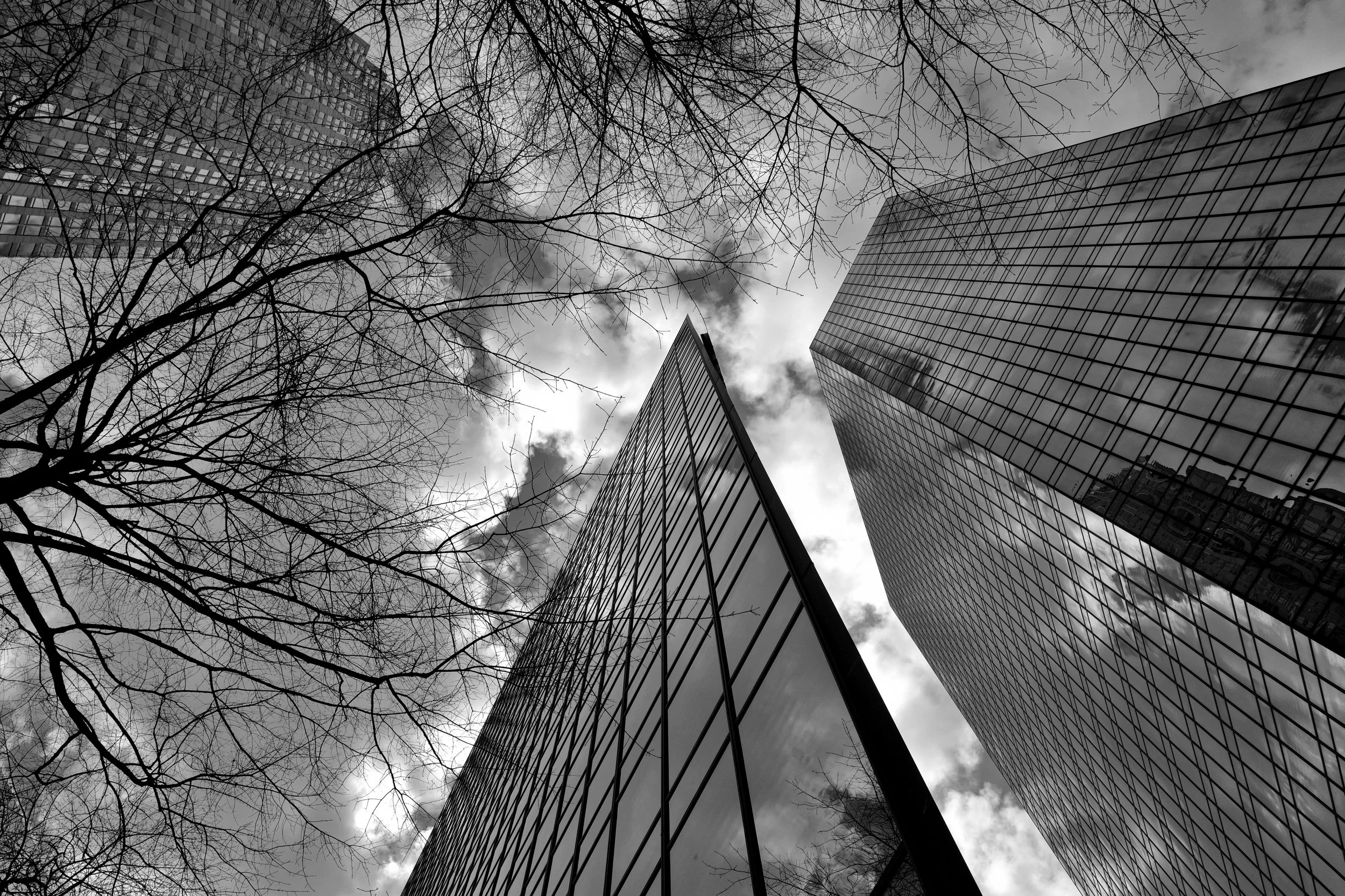 architecture3.jpg