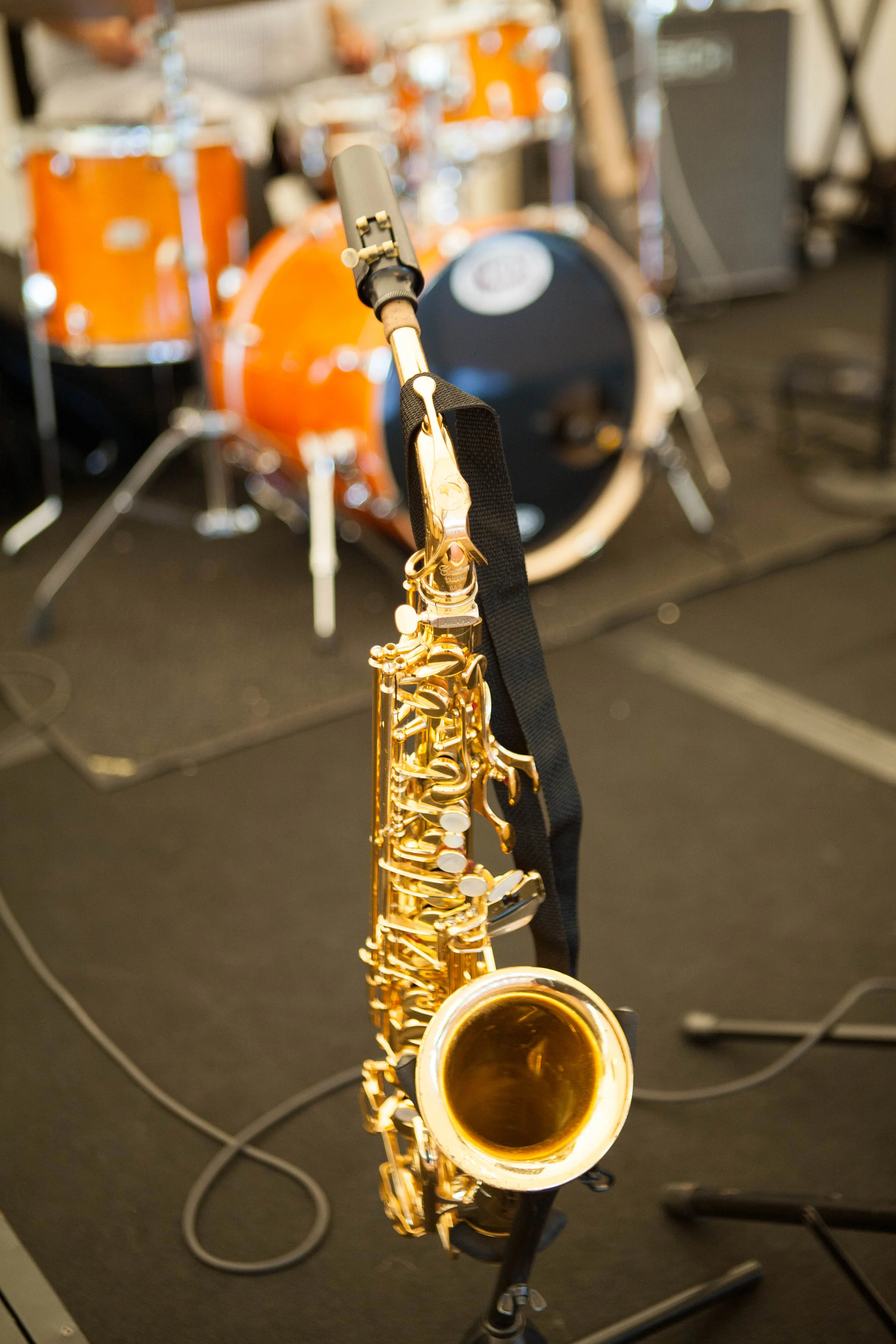 _MG_8515.jpg