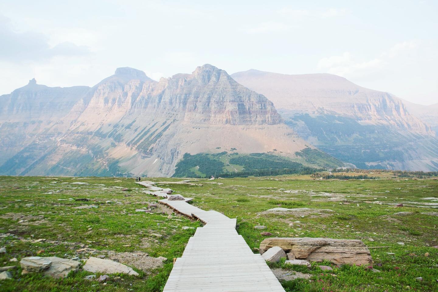 Yes, the pathway to being a protector of the planet takes effort...it takes responsibility and sacrifices...⁠
⁠
It takes grit, growth and humility...⁠
⁠
It takes compassion and consistency... ⁠
⁠
And when you realize how priceless nature is? ⁠
⁠
That